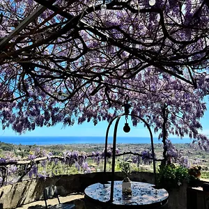 Bed & Breakfast Il Noceto Dell'etna, Giarre